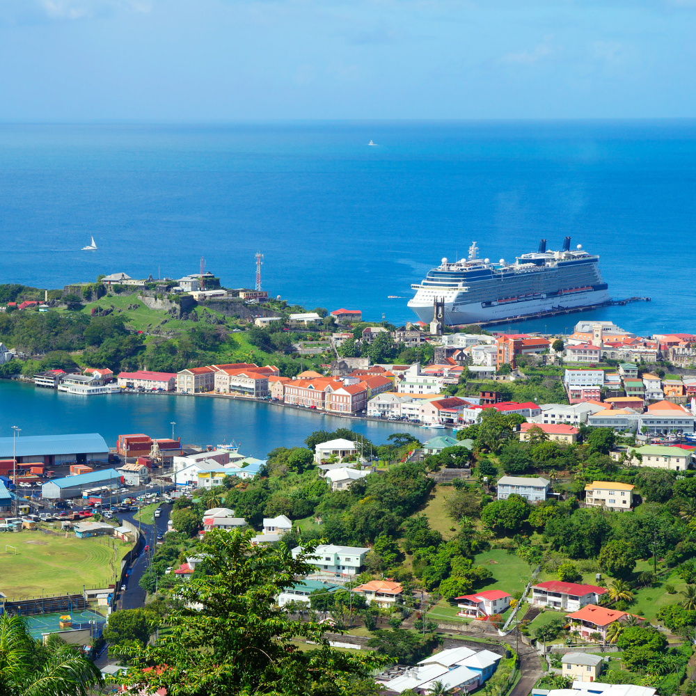 Grenada Citizenship by Investment Unit CEO