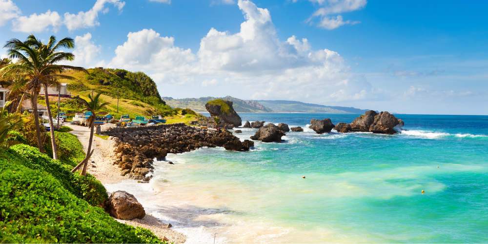 Bathsheba beach 