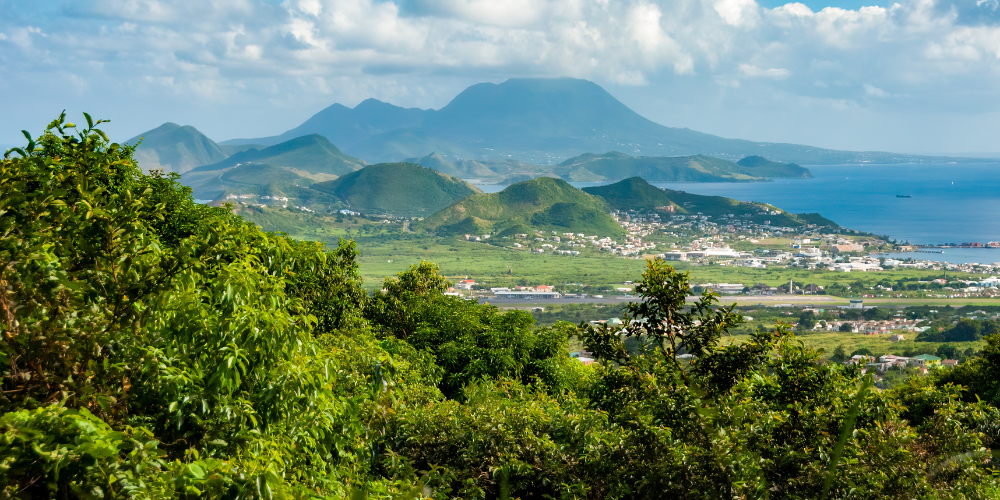 St Kitts and Nevis Agriculture and Marine Sector