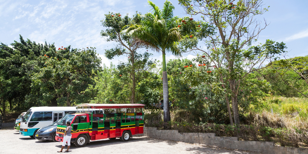 destination st kitts and nevis 