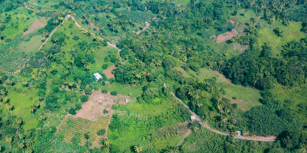 Caribbean Agriculture Project